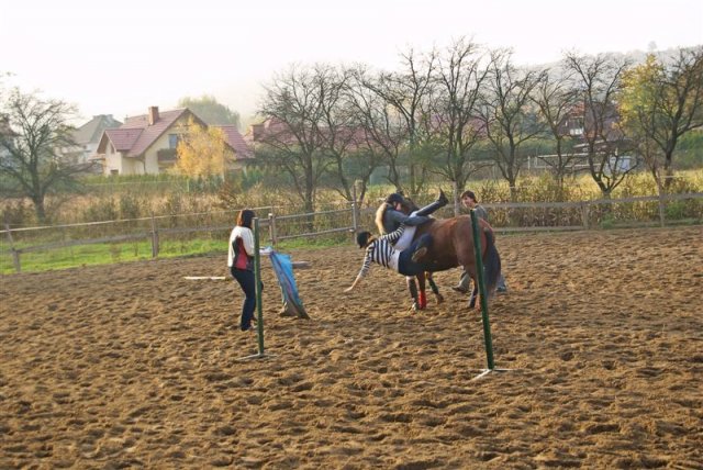 Hubertus 2009